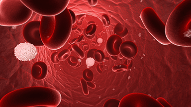 Blood Cancer Diagnosis and Treatments
