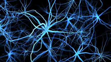 brain synapses callout