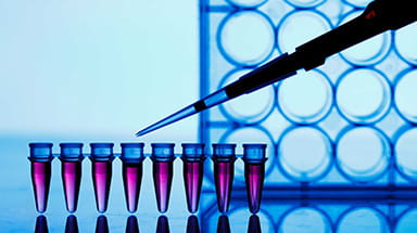 Cancer Immunotherapeutics Center