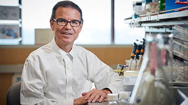 Warren Shlomchik, MD | Stem Cell Treatment