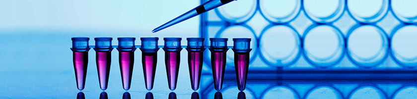 Cancer Immunotherapeutics Center