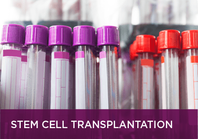 Stem Cell Transplantation at UPMC Hillman Cancer Center