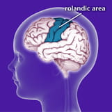 Benign Rolandic (Partial) Epilepsy | Children's Hospital Pittsburgh