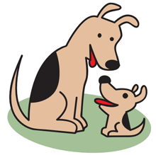 Interventional Heart Catheterization