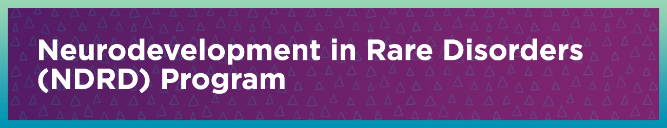 Neurodevelopment in Rare Disorders (NDRD) Program