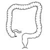 Normal colon