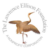 The Lawrence Ellison Foundation