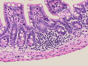 Hand Lab Immune Cellular Visual