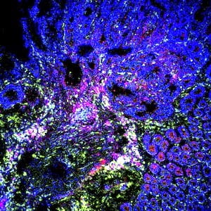 Hand Lab Focus Illustration