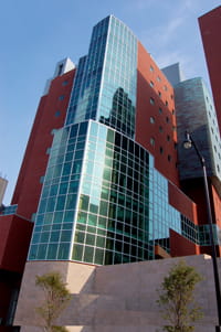 Richard King Mellon Foundation Institute for Pediatric Research