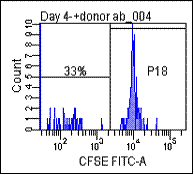 In the case of another child in whom rejection was not present at the time of biopsy cells proliferating in response to donor.