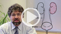 View an overview of the UTI Biomarkers study by Nader Shaikh, MD.