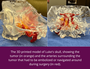Luke Cunningham's 3d modeled skull