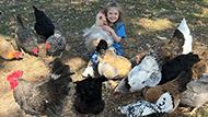 A young girl named Athena holding a chicken and surrounded by other chickens walking around her