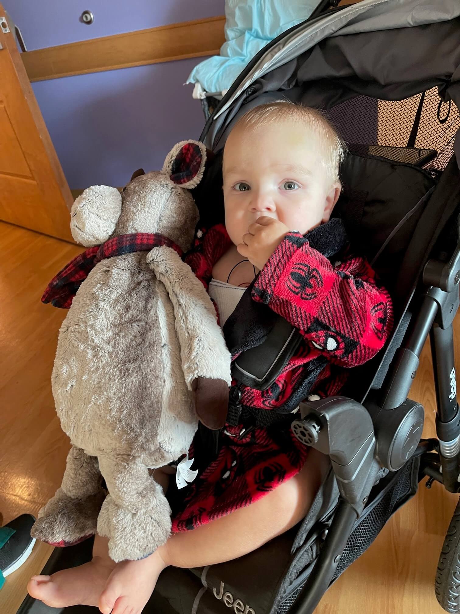 Jaxson Harris in a stroller with his stuffed animal