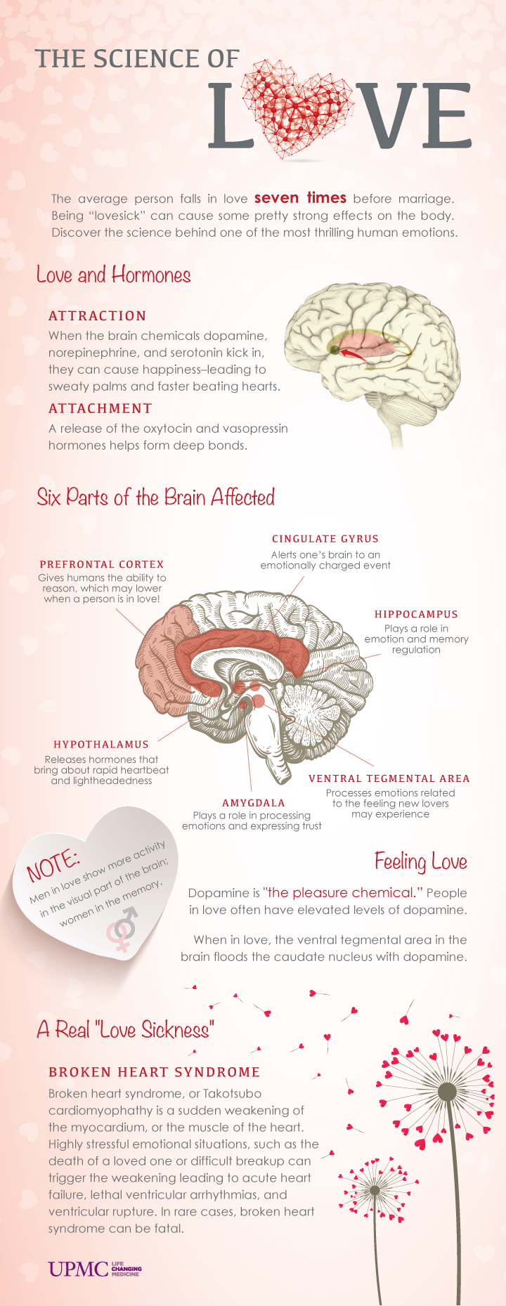 Science of Love