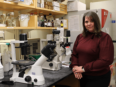 Laura Stabile in her research lab at UPMC Hillman Cancer Center.