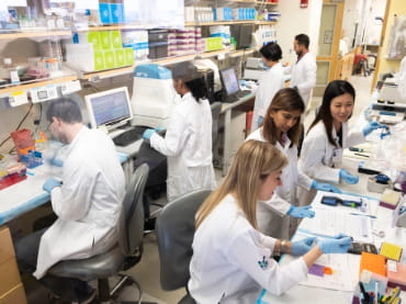 Image of researchers.