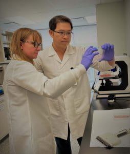 Jennifer Muzzio, lead technician (left), Yen-Michael S. Hsu, M.D., Ph.D. (right), director of the Immunologic Monitoring and Cellular Products Laboratory at UPMC Hillman.