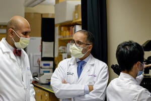 Dr. Davar and Dr. Zarour in the lab