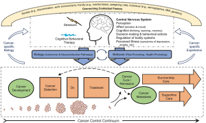 Biobehavioral Effects in Cancer – Bovbjerg DH, Manculich J, Shelby RA. The importance of the person/patient/survivor’s lived experience across the cancer control continuum. Cancer. 2022 Jan 1;128(1):34-38. doi: 10.1002/cncr.33878. Epub 2021 Sep 9. PMID: 34499357.