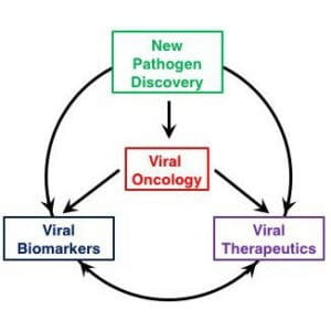 Cancer Virology Program (CVP) Research Themes