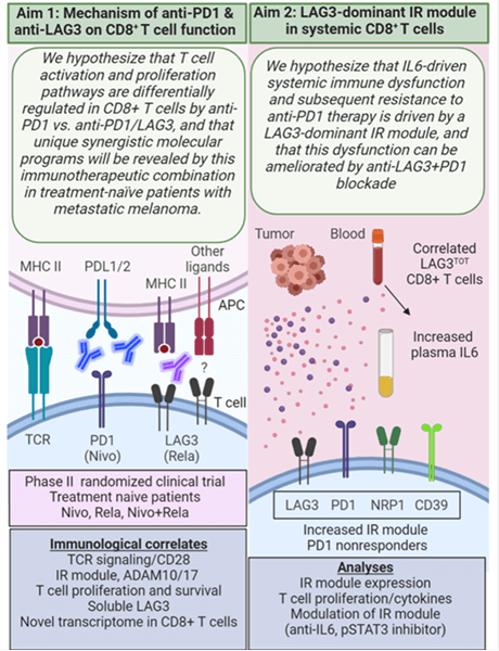 SPORE Head and Neck Cancer - Project 3
