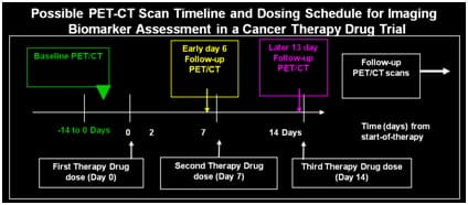 Example PET-CT scan timeline that could be used for imaging biomarkers in a cancer therapy drug trial.