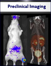 Callout image to learn more about preclinical imaging.