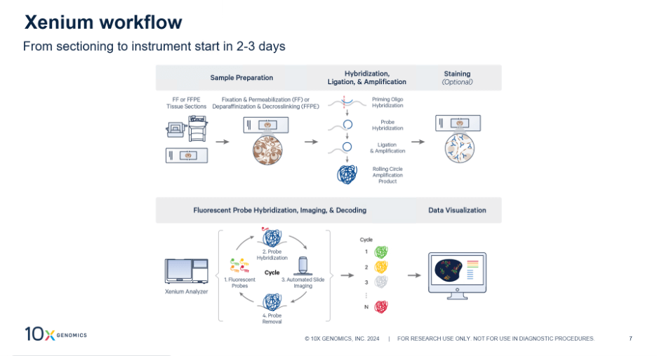 Xenium Workflow image.