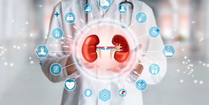 Advancing Kidney Transplantation Innovation Allocation and Outcome