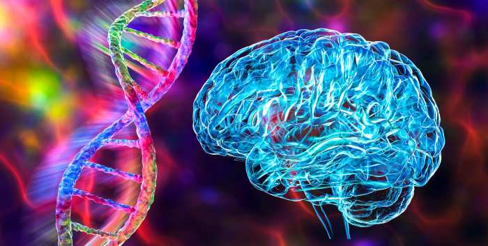 Decoding an Uncommon Gait An Overview of Hereditary Spastic Paraplegia