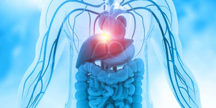 Inhibiting Innate Immunity with Novel Nanobiologics to Reverse Acute TCMR