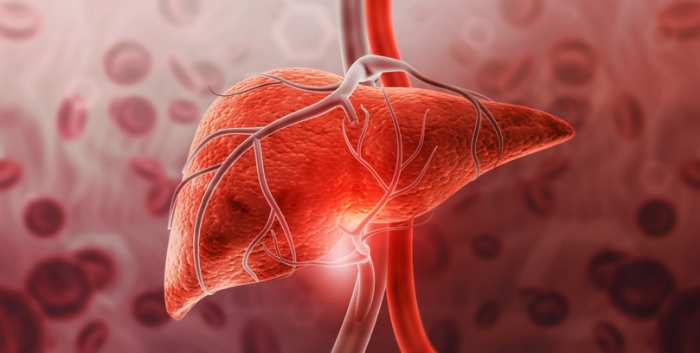 Liver Transplant Allocation Evolving Toward a Continuous Distribution Model