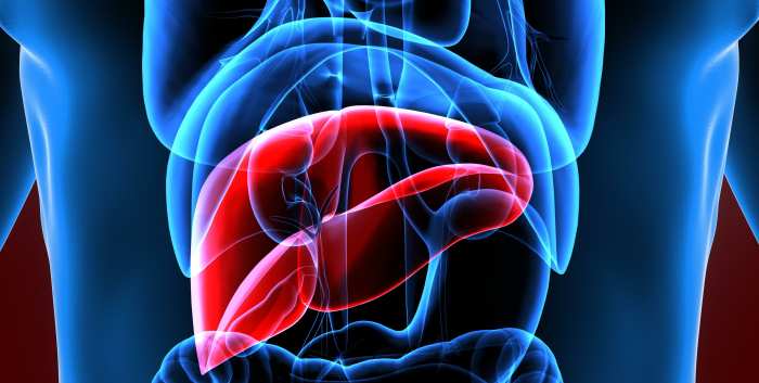 LivingDonor Liver Transplant