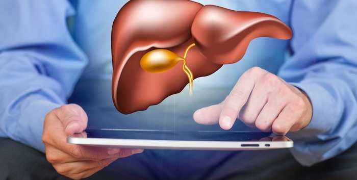 PFIC Genetic Contributions to Its Phenotype and Treatment Considerations