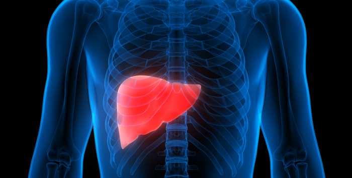 Revolutionizing Live Transplantation Machine Perfusion and NRP