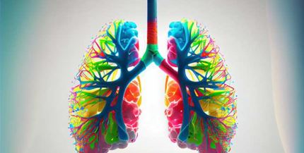 Telomere Biology and Lung Transplantation Why its not Always About the Lung