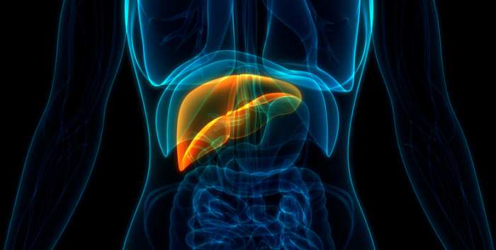 The Evolution of MASLD Through an Endocrine Lens Nomenclature Changes Risk Stratification and Emergi