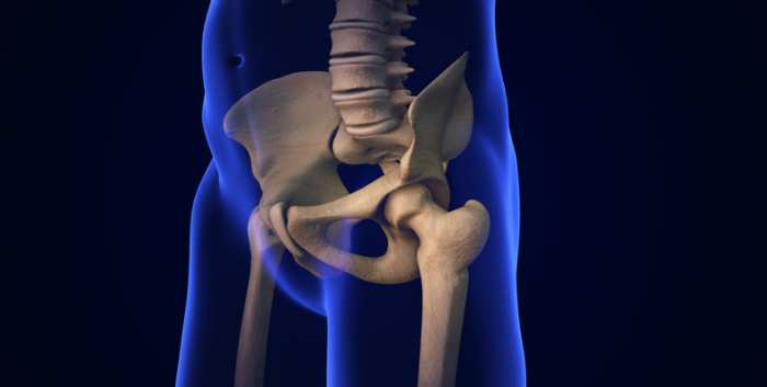 The Hypermobile Hip: Biomechanics, Diagnosis, and Treatment Decision Making: Part 1