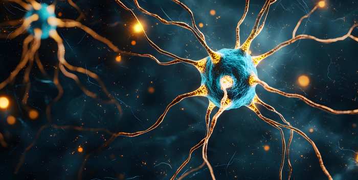 The Tip of the Iceberg A Thorough Workup of Autonomic Dysreflexia