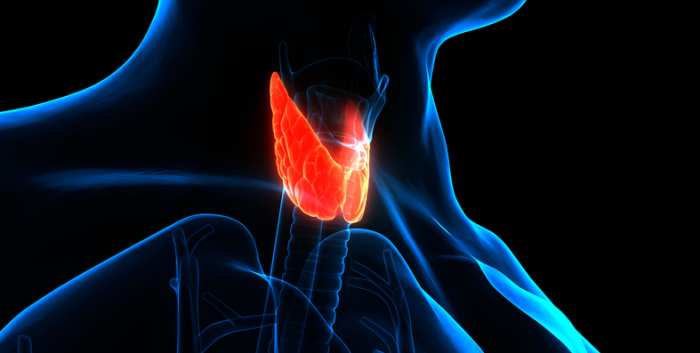 Thyroid and Parathyroid Symposium