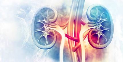 Updates in Diagnosis and Management of Rejection in Renal Transplantation