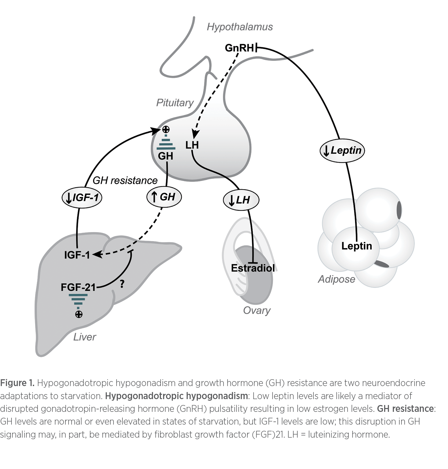 Figure 1: Starvation