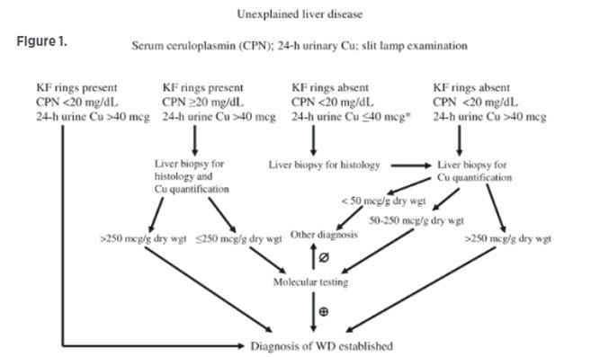 diagnostic template to support Wilson’s disease treatment paradigms