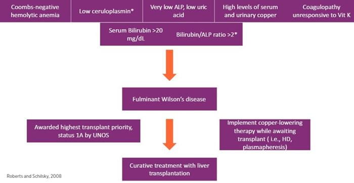 diagnostic approach to fulminant Wilson’s disease