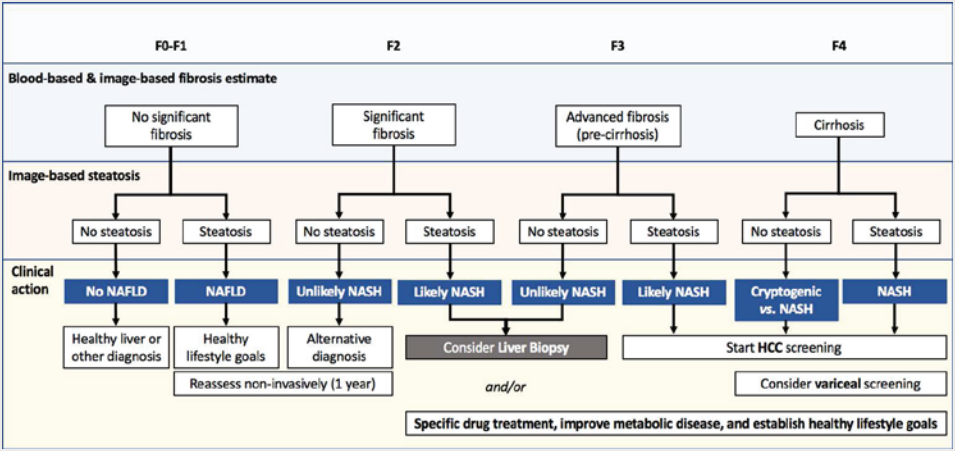 Clinical Utility of Non-invasive Liver Disease Assessment | UPMC ...
