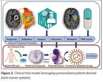  Clinical trial model leveraging personalized patient derived brain cancer systems