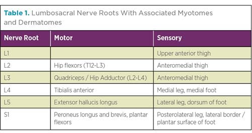 Table depicting Lumbosacral Nerve Roots With Associated Myotomes and Dermatomes