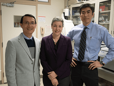 Gwendolyn A. Sowa, MD, PhD and Nam Vo, PhD.